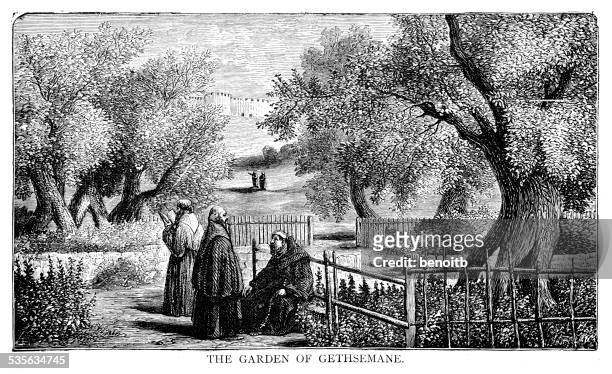 ilustraciones, imágenes clip art, dibujos animados e iconos de stock de jardín de gethsemane - garden of gethsemane