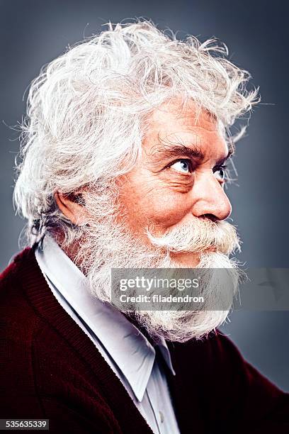 portrait of senior man - mustache stock pictures, royalty-free photos & images