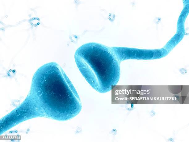 human synapse, artwork - dendrite stock illustrations