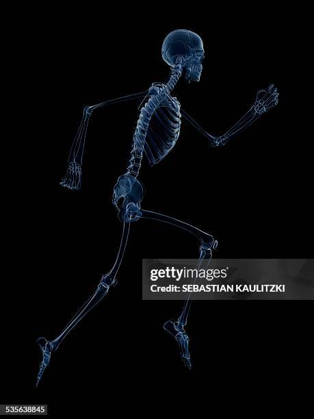 skeletal system of runner, artwork - running black background stock illustrations