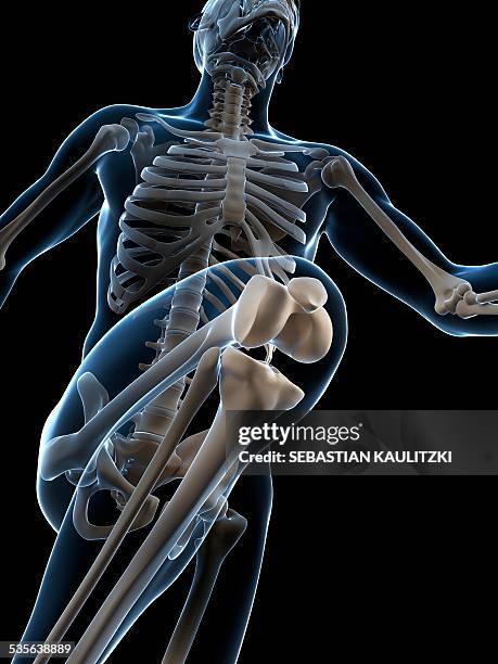 skeletal system of runner, artwork - running low angle stock illustrations