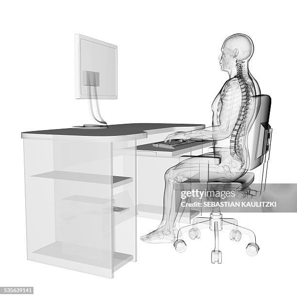 person sitting with correct posture - desk posture stock illustrations