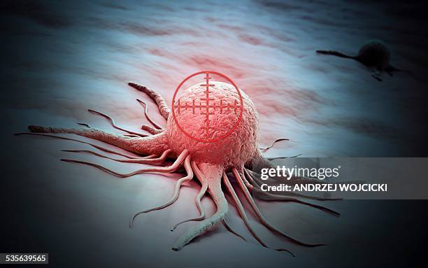 ilustraciones, imágenes clip art, dibujos animados e iconos de stock de cancer cell, artwork - célula cancerígena de animal