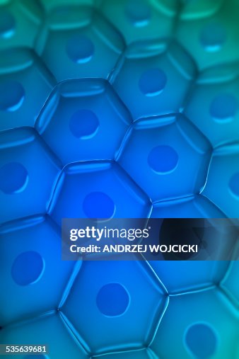 Cell Wall Computer Rendered Cell Wall Artwork High-Res Vector Graphic - Getty Images