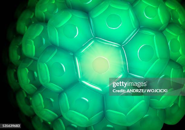 stockillustraties, clipart, cartoons en iconen met cell wall, artwork - celmembraan