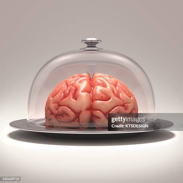 illustrations, cliparts, dessins animés et icônes de human brain on platter, artwork - domed tray