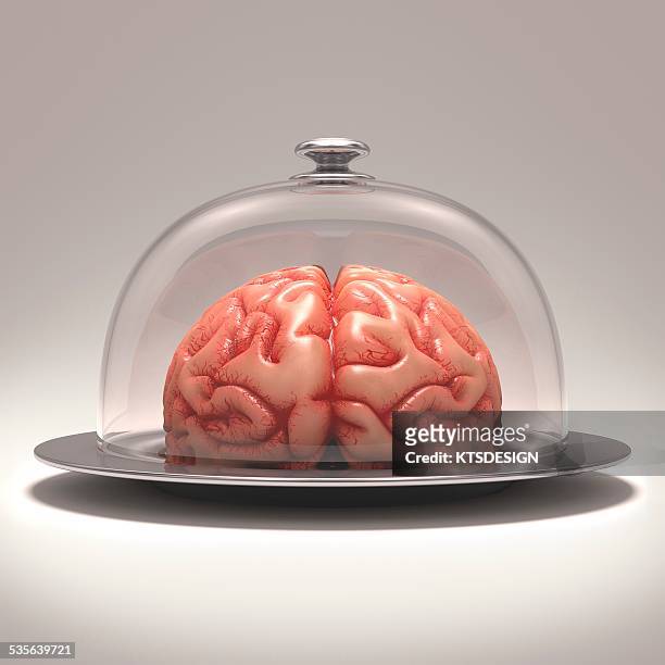human brain on platter, artwork - cloche stock illustrations