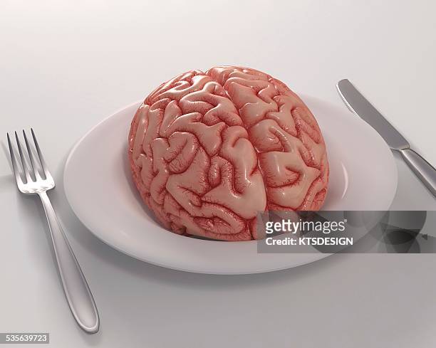 human brain on dinner plate, artwork - brainfood stock illustrations