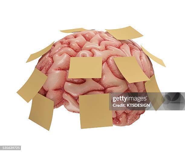 human brain with sticky notes, artwork - post it notes white background stock illustrations