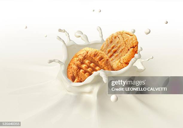 biscuits splashing into milk, artwork - cookie stock illustrations