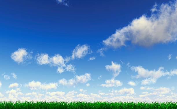 317 Real Life Backgrounds High Res Illustrations - Getty Images