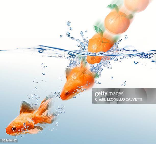 Mandarin turning into gold fish, artwork