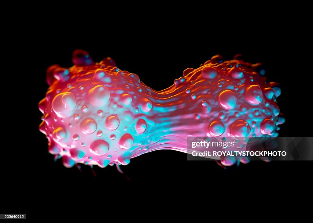 Lung cancer cells dividing, illustration