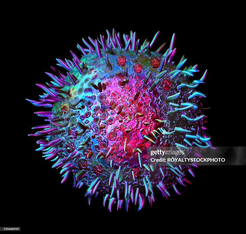 Mast cell, illustration