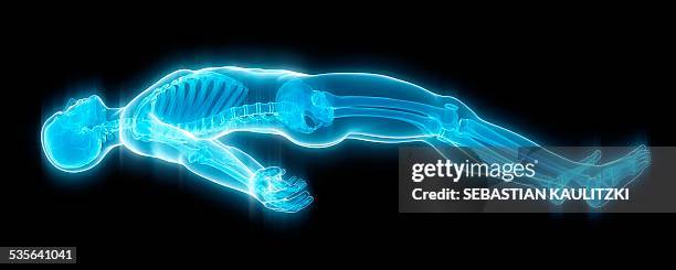 human skeleton, illustration - lying on back stock illustrations