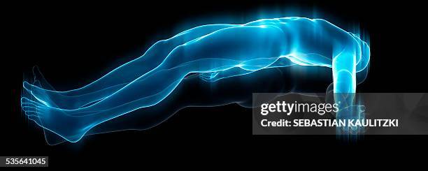 The Human Soul Illustration High-Res Vector Graphic - Getty Images