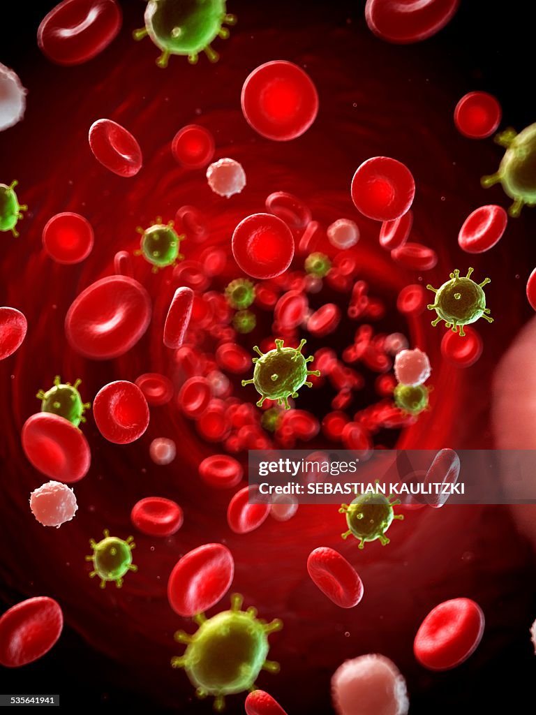 Virus infecting the blood, illustration