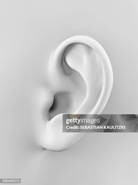 illustrations, cliparts, dessins animés et icônes de human ear, illustration - perception sensorielle