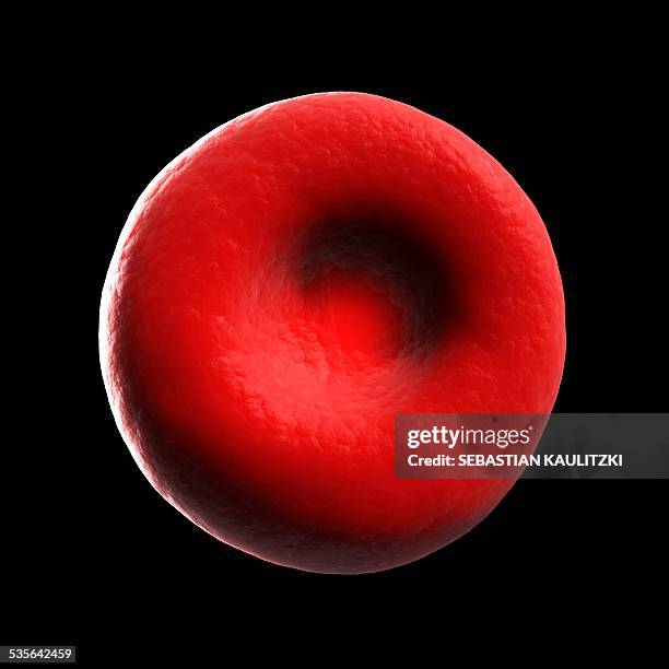 stockillustraties, clipart, cartoons en iconen met human red blood cell, illustration - bloedcel