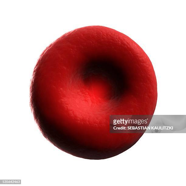 ilustrações, clipart, desenhos animados e ícones de human red blood cell, illustration - um único objeto