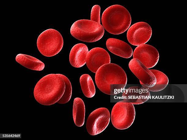 ilustrações de stock, clip art, desenhos animados e ícones de human red blood cells, illustration - glóbulo vermelho