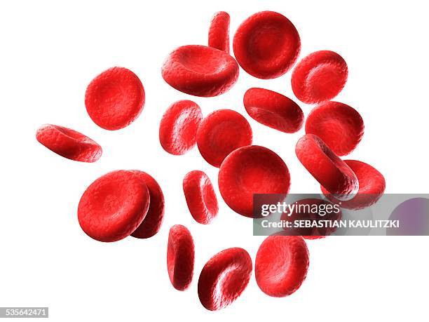 stockillustraties, clipart, cartoons en iconen met human red blood cells, illustration - bloedcel
