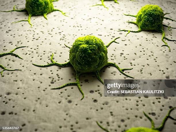 cancer cells, illustration - cancer cells stock illustrations