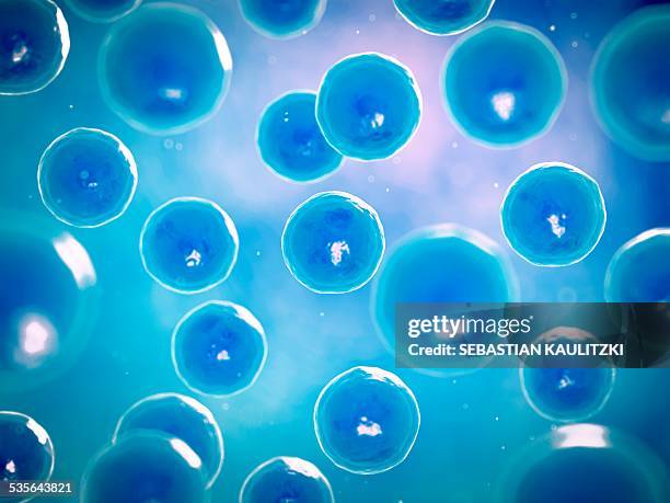 cells, illustration - cells biology stock illustrations