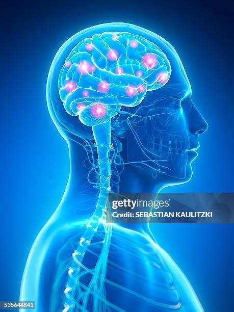 human brain activity, illustration - neuron stock illustrations
