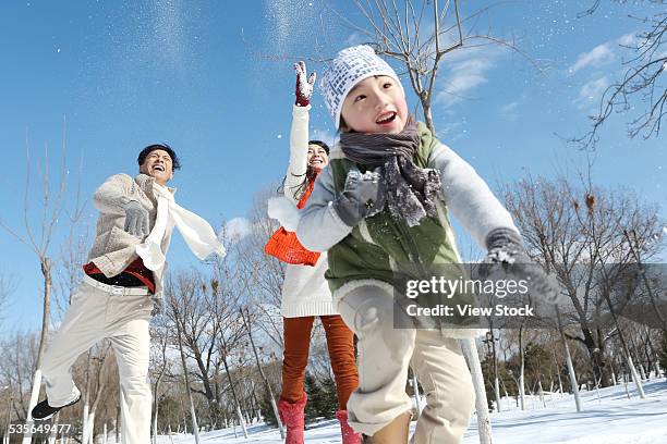 family enjoying in the snow - 雪玉 ストックフォトと画像