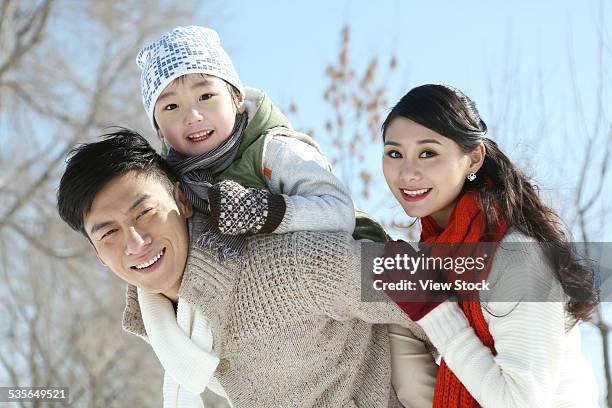 family enjoying in the snow - east asian ethnicity fotografías e imágenes de stock