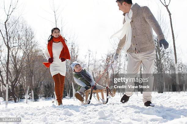 family enjoying in the snow - chinese father and son snow stock pictures, royalty-free photos & images