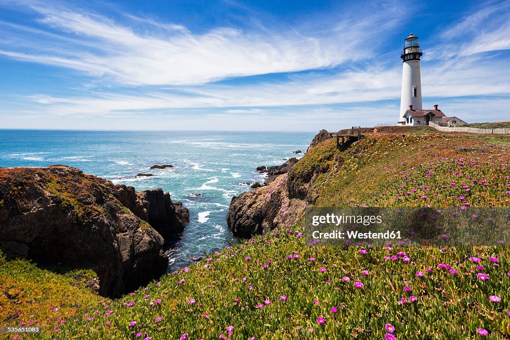 USA, California, Big Sur, Pacific Coast, National Scenic Byway, View to Pigeon Point Lighthouse