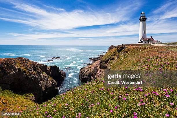 usa, california, big sur, pacific coast, national scenic byway, view to pigeon point lighthouse - central california 個照片及圖片檔
