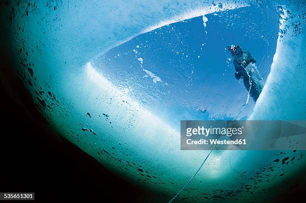russia, arctic circle dive centre, polar circle, guide holding tether for ice diving - glacial ice sheet stock pictures, royalty-free photos & images