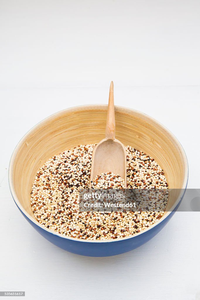 Bamboo bowl of organic quinoa grains, Chenopodium quinoa, on white background