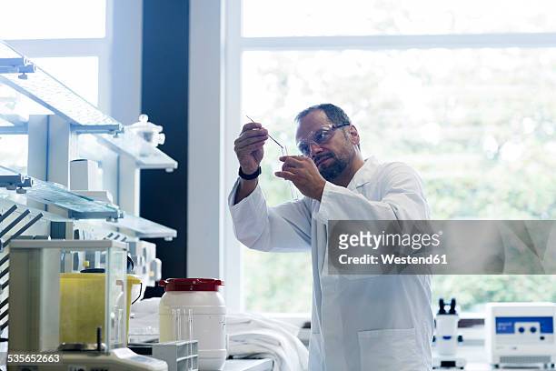 chemist with test tube in a laboratory - three quarter length stock pictures, royalty-free photos & images