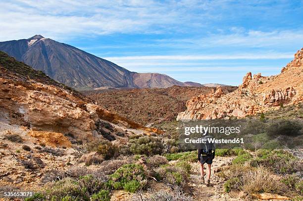 spain, canary islands, tenerife, roques de garcia, mount teide, teide national park, female hiker in the caldera de las canadas - pico de teide stock-fotos und bilder