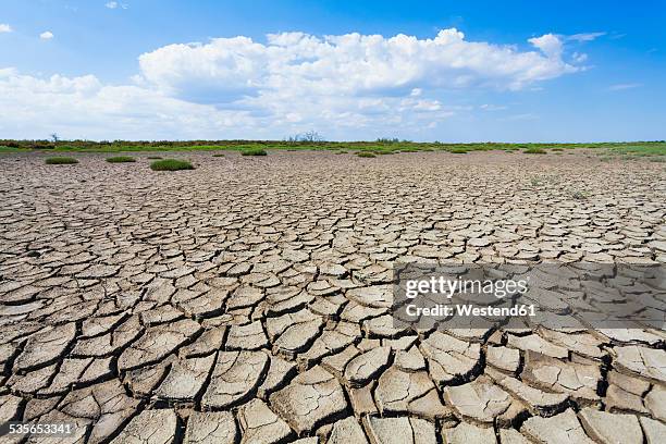 france, provence, camargue, view to eroded soil at marshland - ausgedörrt stock-fotos und bilder