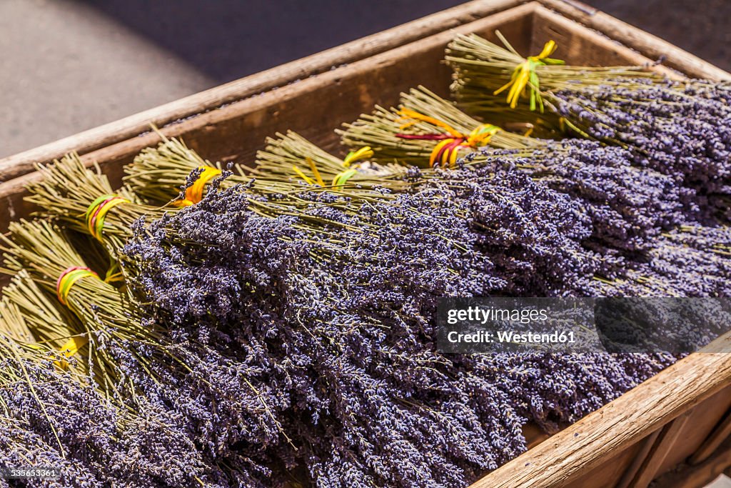 France, Provence, Aix-en-Provence, wooden box with bunches of lavender
