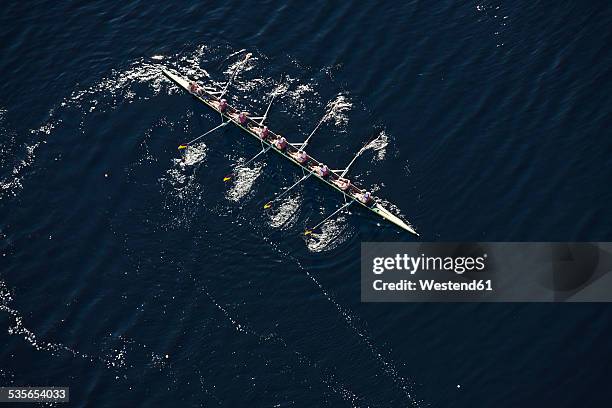 elevated view of rowing eight in water - rudern stock pictures, royalty-free photos & images