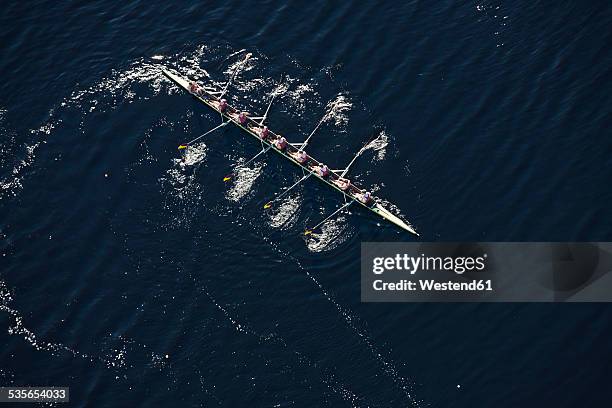 elevated view of rowing eight in water - rowing bildbanksfoton och bilder