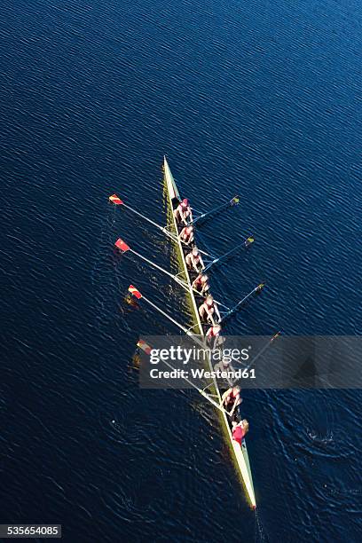 elevated view of female's rowing eight in water - rowing boat stock pictures, royalty-free photos & images