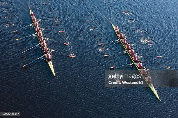 elevated view of two rowing eights in water - rowing imagens e fotografias de stock