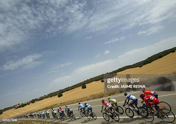 The pack rides during the fifth stage of the tour of Spain from Alcazar de San Juan to Cuenca, 31 August 2005. Norwegian Thor Hoshovd of Credit...