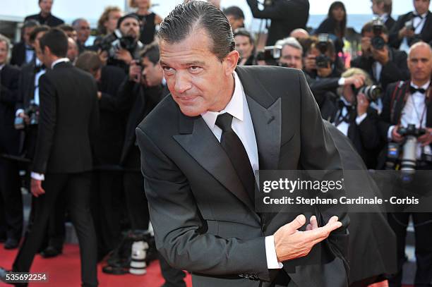 Antonio Banderas at the premiere for "The Paperboy" during the 65th Cannes International Film Festival.