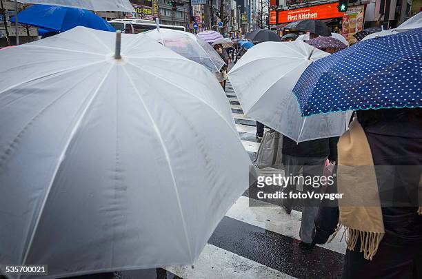 umbrellas and commuters people walking through rainy day tokyo japan - now voyager stock pictures, royalty-free photos & images
