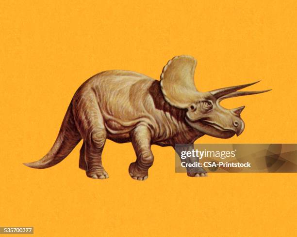 ilustraciones, imágenes clip art, dibujos animados e iconos de stock de triceratops - triceratops