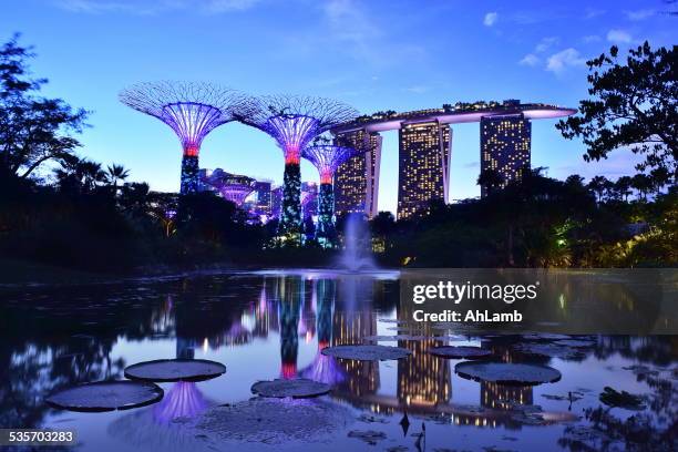 singapore - gardens by the bay stock pictures, royalty-free photos & images