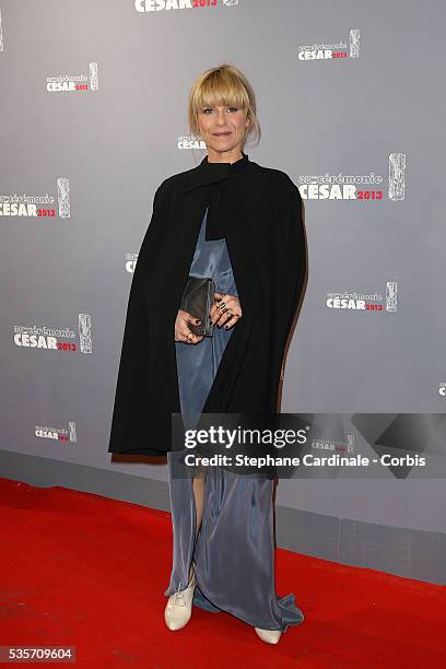 Marina Fois arrives at Cesar Film Awards 2013 at Theatre du Chatelet, in Paris.